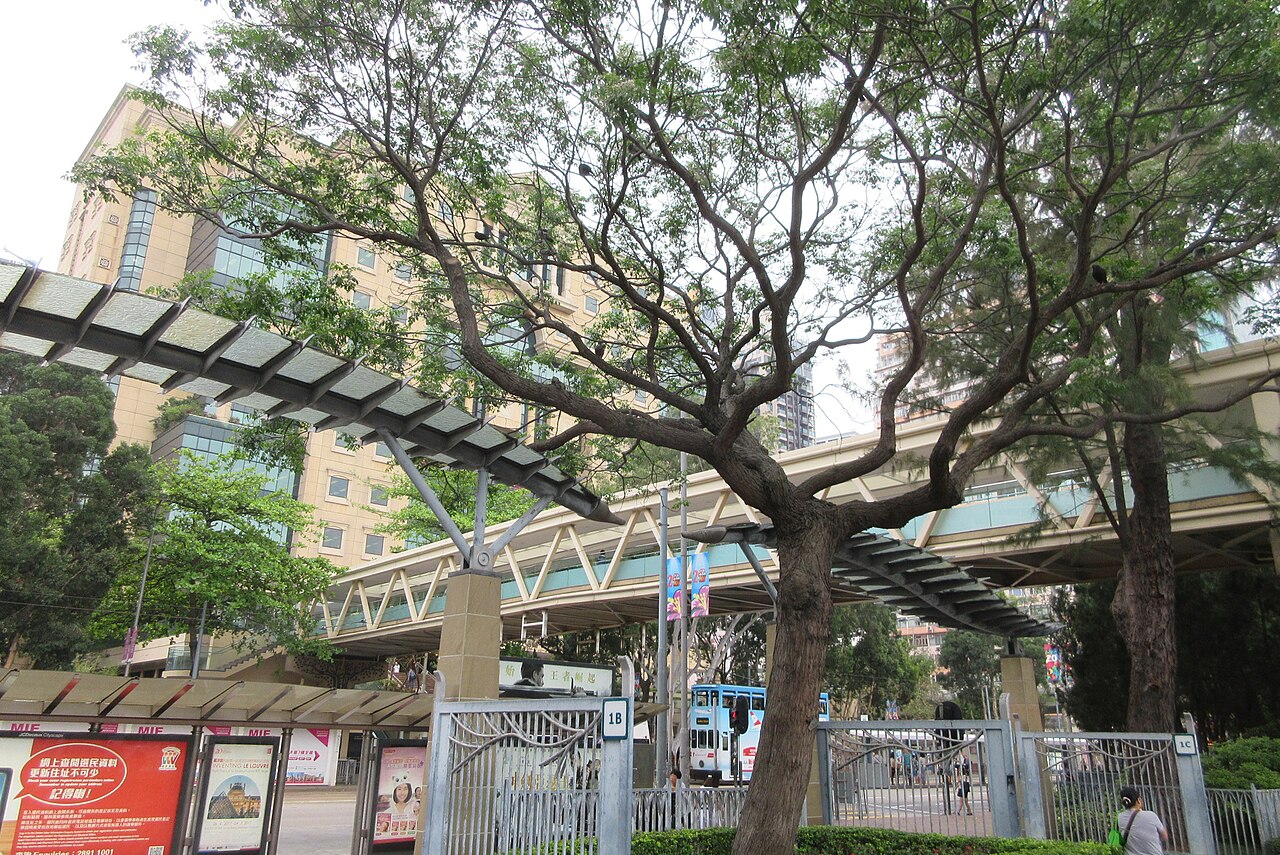 維多利亞公園